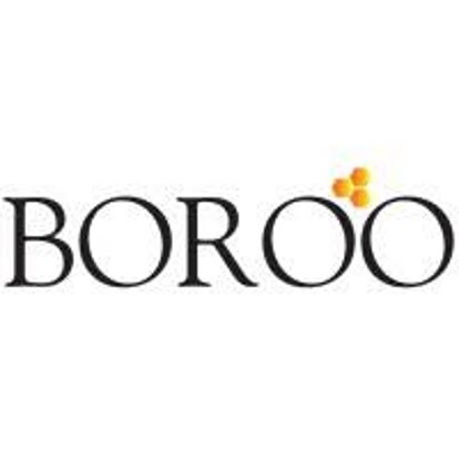 MINERA BOROO MISQUICHILCA S.A